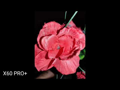 Vivo X60 Pro Plus | Camera Review | TheMsTech