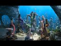 A Reunião De Todas As Filhas Do Rei Tritão A Pequena Sereia 2023 Aventura Cena HD