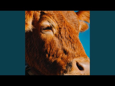 Come sbagliare di meno