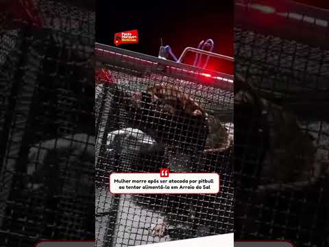 Mulher morre após ser atacada por pitbull ao tentar alimentá-lo em Arroio do Sal