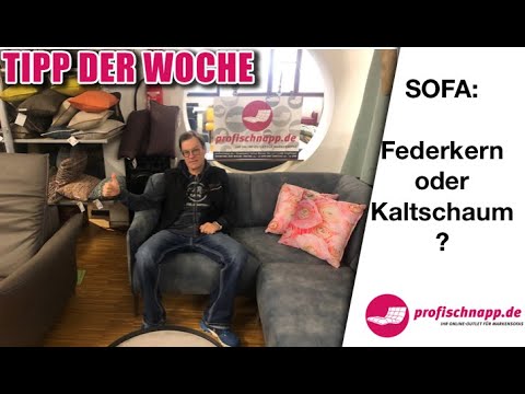 Tipp der Woche Sofapolsterung mit Federkern oder Kaltschaum?