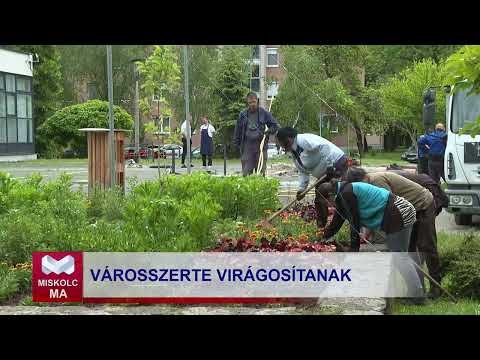 Videó előnézet