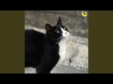 Video thumbnail for 길냥이 (Stray Cat) (Inst.)