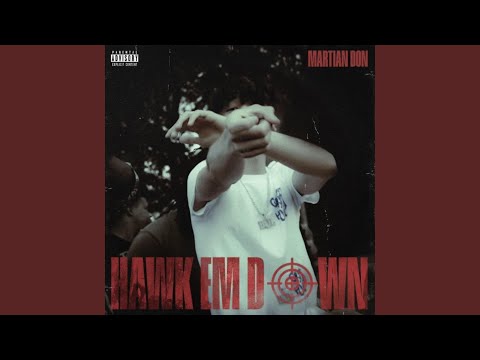 Hawk Em Down