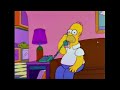 Homer Crying To Cats In The Cradle