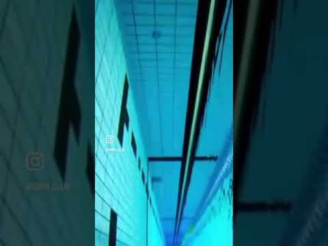 aménagement-jardin-spiscine-enterrée-rectangulaire