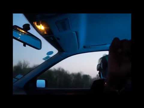 Lutheck - Job d’été