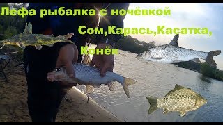 Рыбалка на лефу приморский край