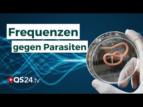 Systematic parasite control: Frequency therapy as effective support | QS24