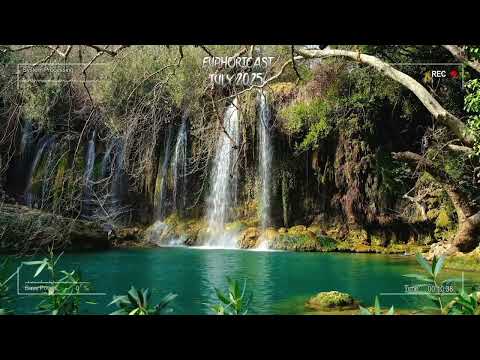 Euphoricast - #96 (July 2025) [HQ Mix]