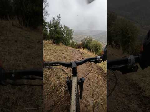 DH Rauco#otoño #downhill #shorts #maule #mtb