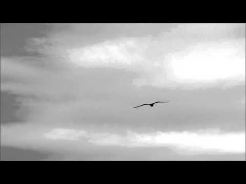 Most Emotional OSTs Ever : Fly Away Home Suite