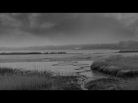 Nick Drake - River Man