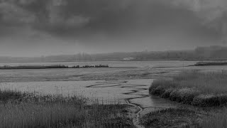 Nick Drake - River Man