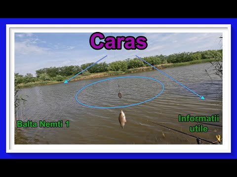 Pescuit caras...plantat, feeder, undita...made in Germany