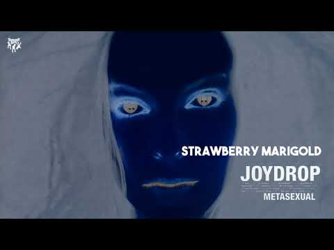 Strawberry Marigold video thumbnail