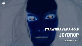 Strawberry Marigold Music Video