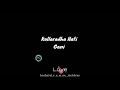 Seetharamakalyana Nikilkumar Nina Raja Nanu Nana Rani Ninu Song Wtsapp Status Nikhil Rachitha Ram