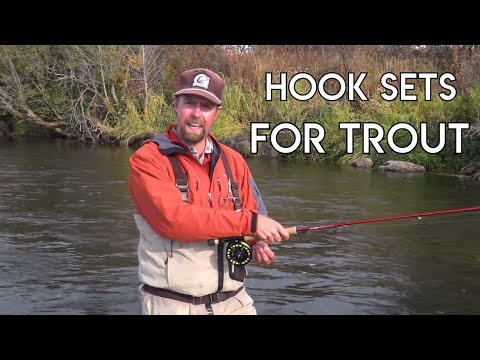Various Hook Sets for Trout - Dry Fly, Nymph & Streamer