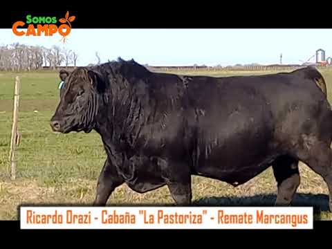 Ricardo Orazi (h) - Cabaña "La Pastoriza"