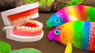 EP 1 Funny Fish Videos❤️The Fishing find Colorful Surprise Eggs Fish | Stop Motion Funny ASMR