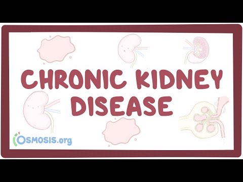 Chronic kidney disease - causes, symptoms, diagnosis, treatment, pathology