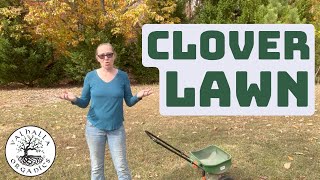Overseeding Lawn with Clover