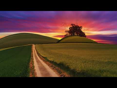 Parra for Cuva | Champa (feat. Monsoonsiren)