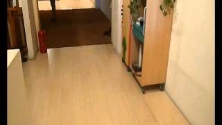 LOCAL EN ALQUILER EN PASEO DE LAS DELICIAS