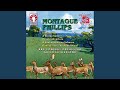 Four Dances from the Rebel Maid': Ii Gavotte