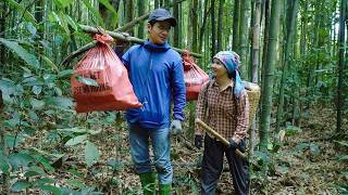 Download lagu A peaceful and enjoyable experience for Toan and Diem in the forest... mp3