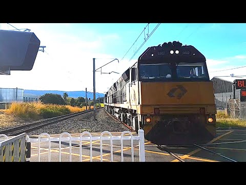 Adz' Transport Vlogs - 4954 - 6002 and 6009 at Bellambi