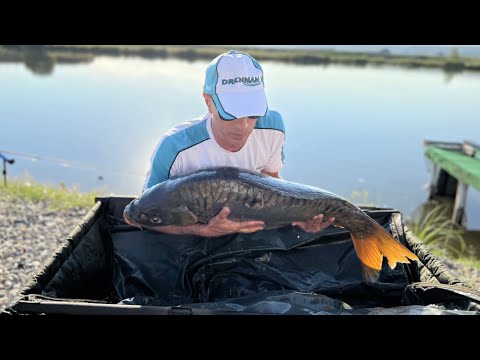 Purcareni Lake 30.06.2022