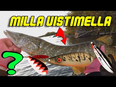 Kalastusta Loppukesästä