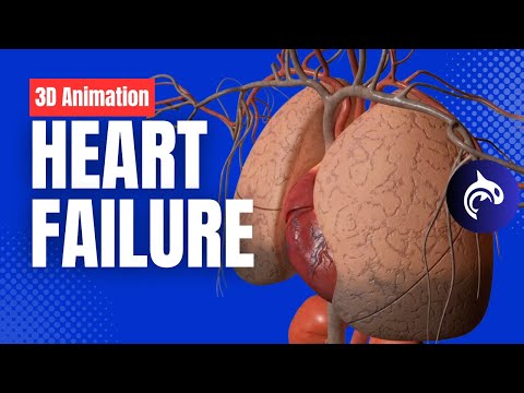 The Difference Between Cardiac Arrest Heart Attack and Heart Failure 3D Animation