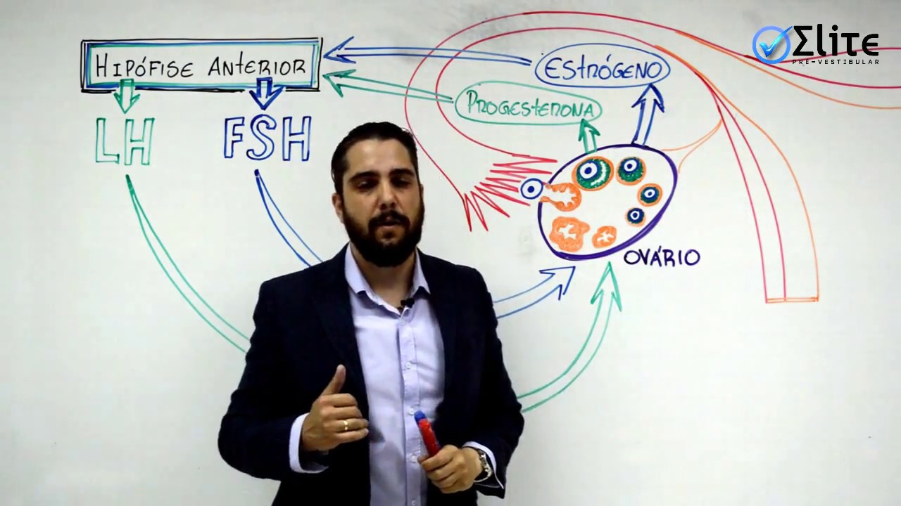 Fisiologia Sexual Feminina (Ciclo Menstrual)