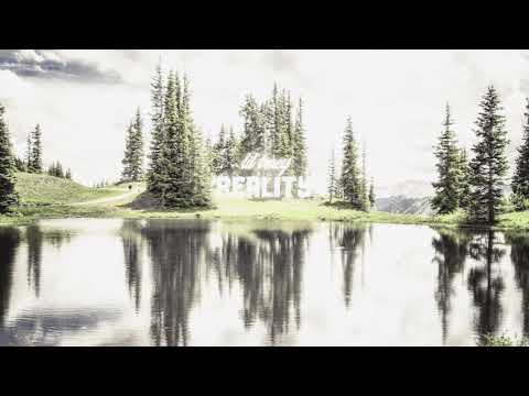 Lil Tracy - Reality (without kirblagoop)