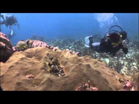 Video clip AM LIKE U - SENZA LEGGE BAND