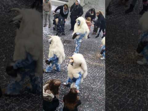 Fasching  in Lahr 2017