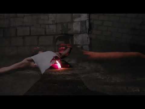 François Dillinger   Mit Wunden Aufgewacht (Official Video)