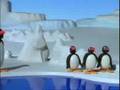 Pingu Pingu Makes A Splash