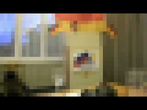 Vortrag von Felix Menzel: Ausländergewalt