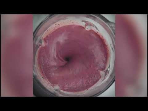 thumbnail video image 2 of Licuadora Oster clásica con Interruptor de Palanca Negra, 2 of 5