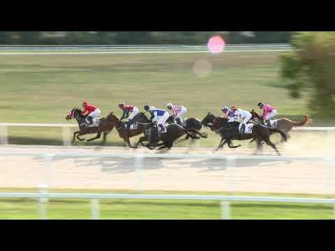 2019.09.29. 05. futam - ZSIBÓI HENDIKEP (III.o.) (szintetikus pálya)