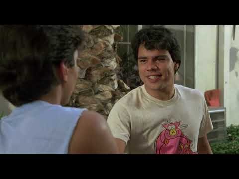 The Karate Kid. Bill Conti