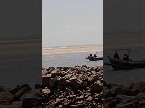 PRAIA DA RAPOSA MARANHÃO BRASIL #maranhão #amazonia #brasil #nordeste #nature #shorts