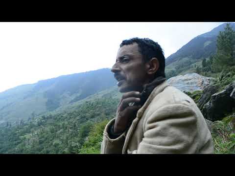 download lagu mp3 mp4 Expensive Herbs In Himachal Pradesh, download lagu Expensive Herbs In Himachal Pradesh gratis, unduh video klip Expensive Herbs In Himachal Pradesh