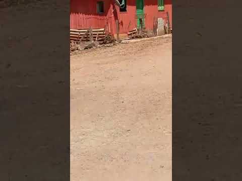 Chegando Em Paraíso Do Sul Destrito De Barbosa Ferraz PR