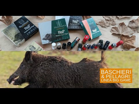 baschieri-pellagri: Speciale cinghiale: cartucce Big Game a palla asciutta Baschieri & Pellagri