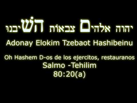 download lagu mp3 mp4 5 72, download lagu 5 72 gratis, unduh video klip 5 72